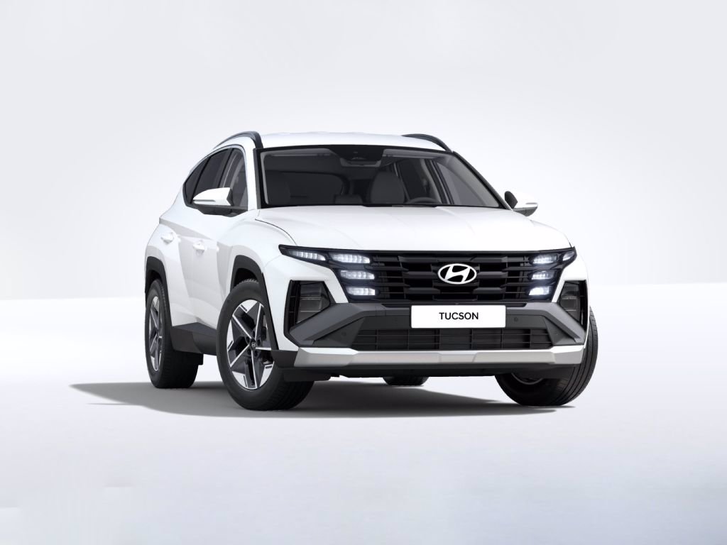 HYUNDAI Tucson 1.6 hev business 2wd auto