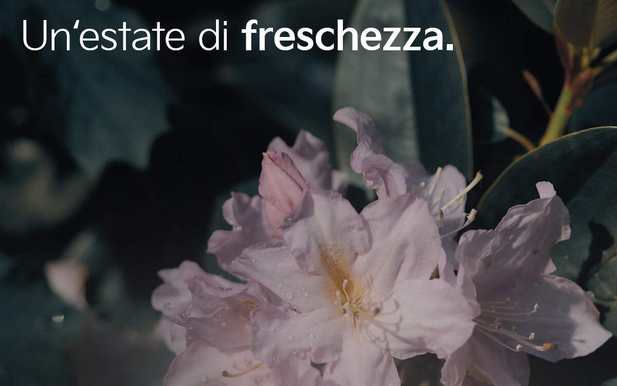 03 SP SU 2024 Landingpage Parts Intro Tablet 1200X800